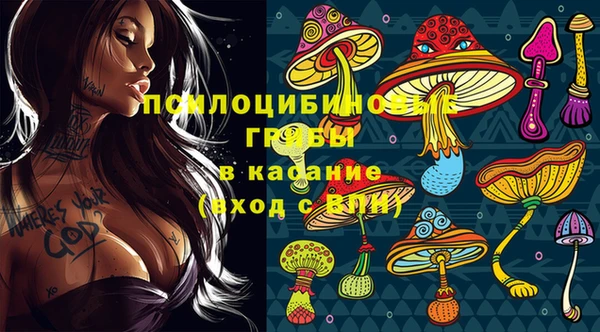 тгк Алзамай